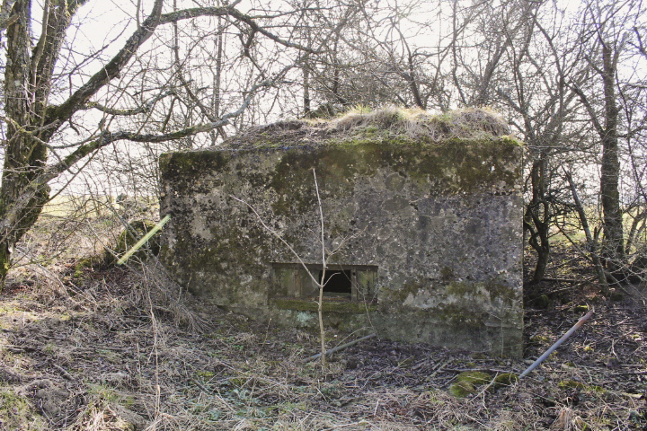 Ligne Maginot - BERSTERCH EST - (Blockhaus pour arme infanterie) - Façade de tir - Christian LENHARD