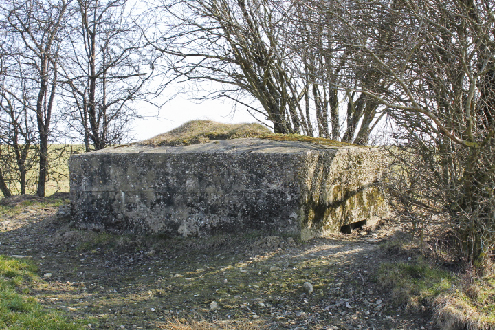 Ligne Maginot - BERSTERCH OUEST - (Blockhaus pour arme infanterie) - Façade de tir - Christian LENHARD