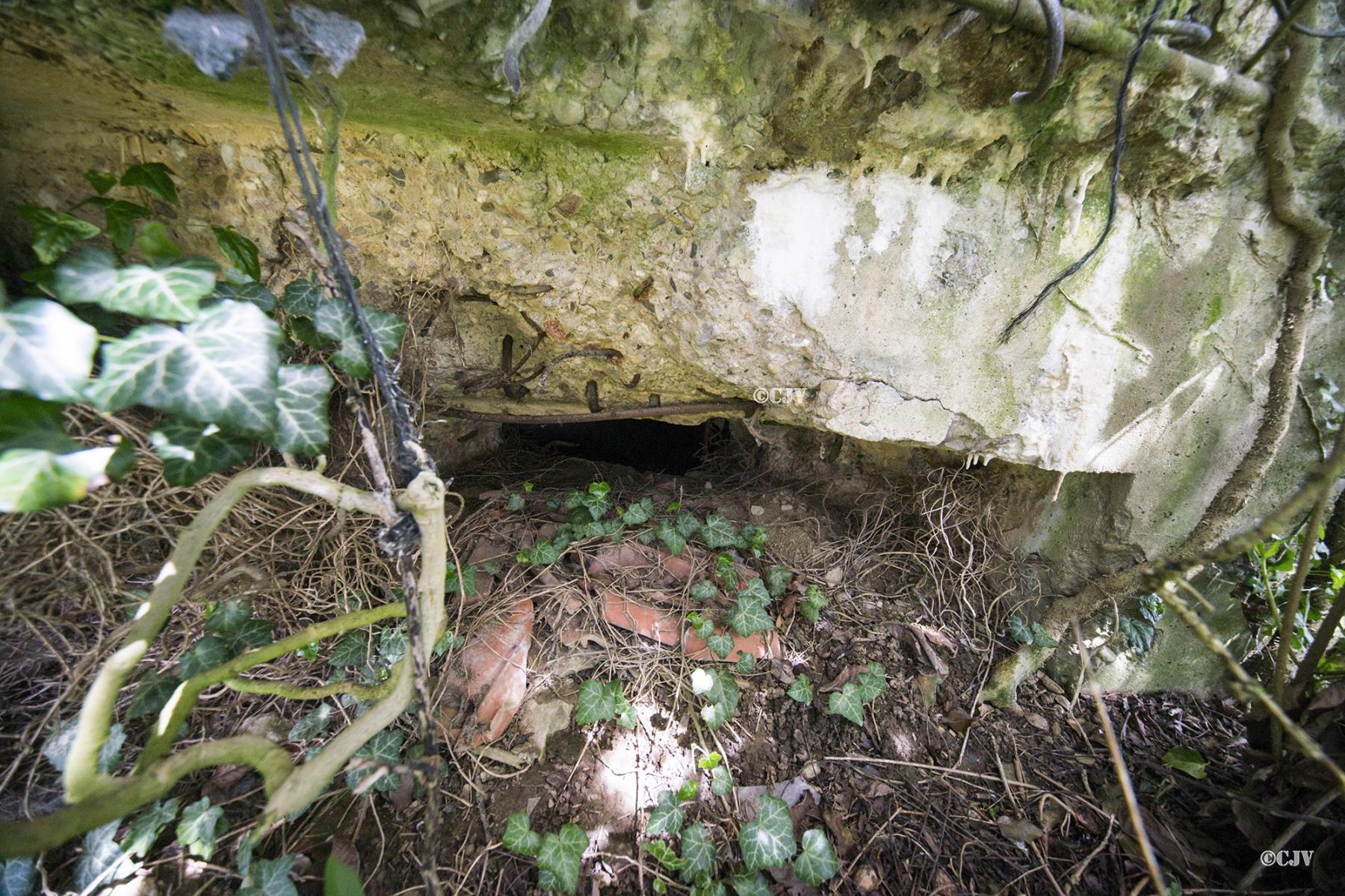Ligne Maginot - BETTVILLER 3 (AVANT POSTE) - (Blockhaus pour arme infanterie) -  - Lia VERMEULEN