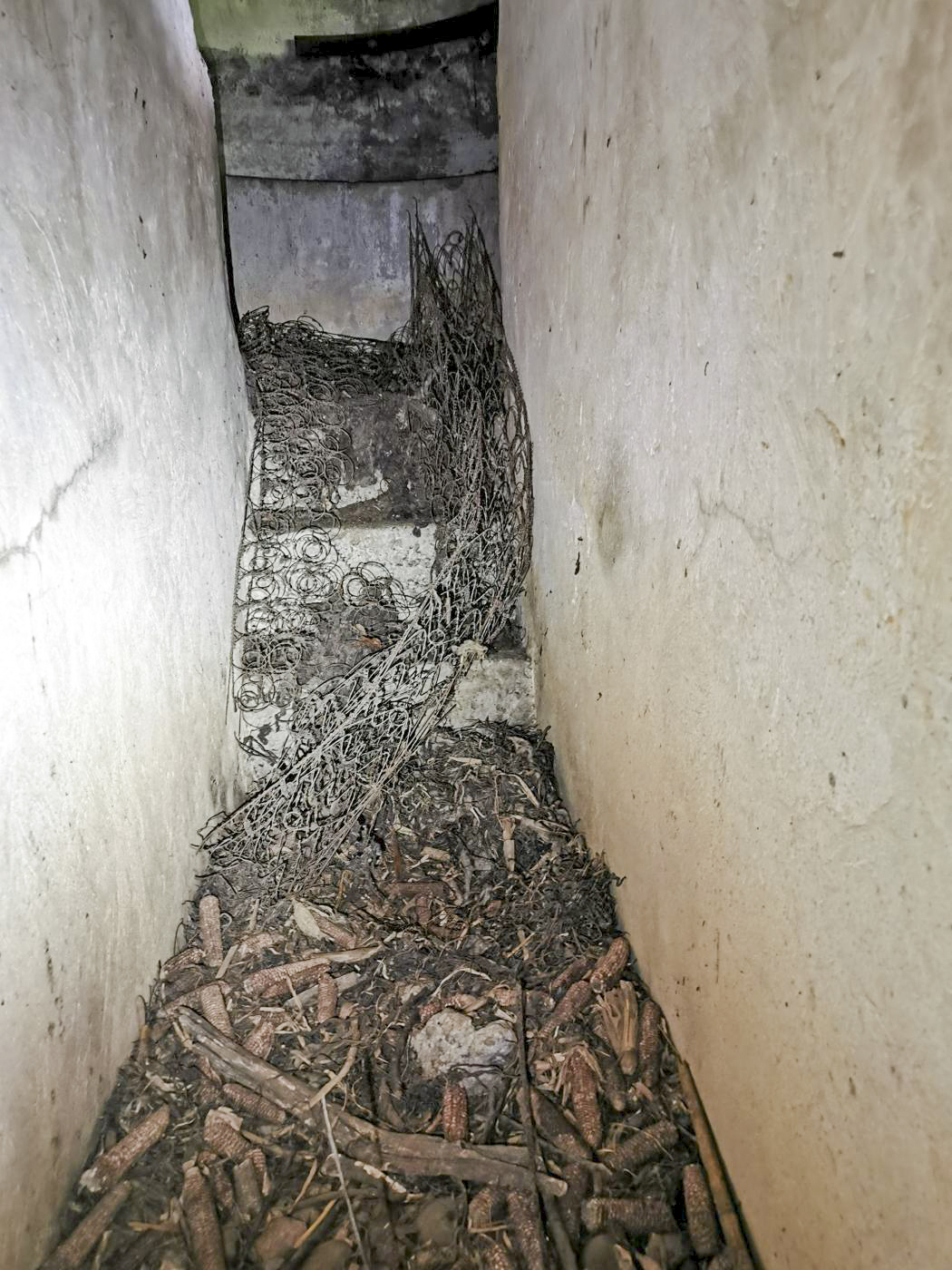 Ligne Maginot - KEMBS NORD 3 - (Blockhaus pour arme infanterie) - L'escalier vers la coupole. - leiraph