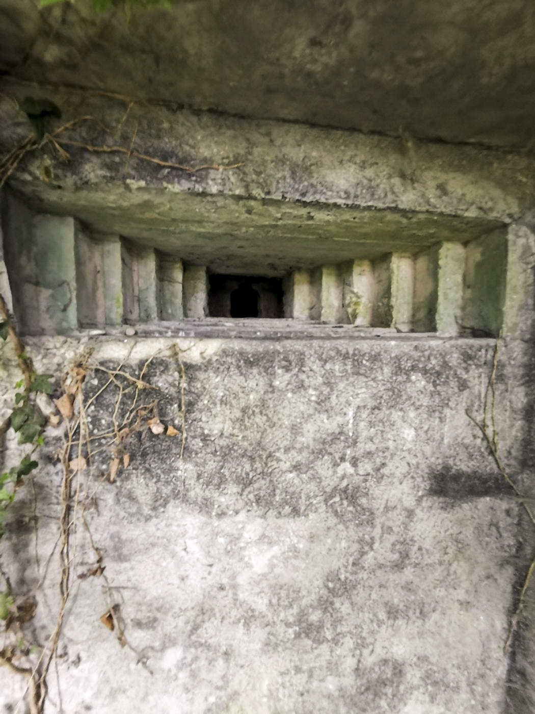 Ligne Maginot - B591 - RICHARDSHAEUSER 5 - (Blockhaus pour arme infanterie) - Le grand créneau en plan rapproché. - leiraph