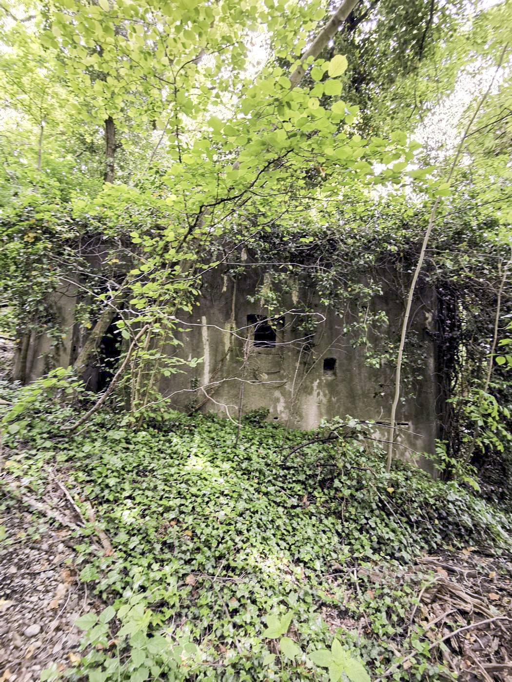 Ligne Maginot - B591 - RICHARDSHAEUSER 5 - (Blockhaus pour arme infanterie) - Le mur avec l'entrée (à gauche). - leiraph