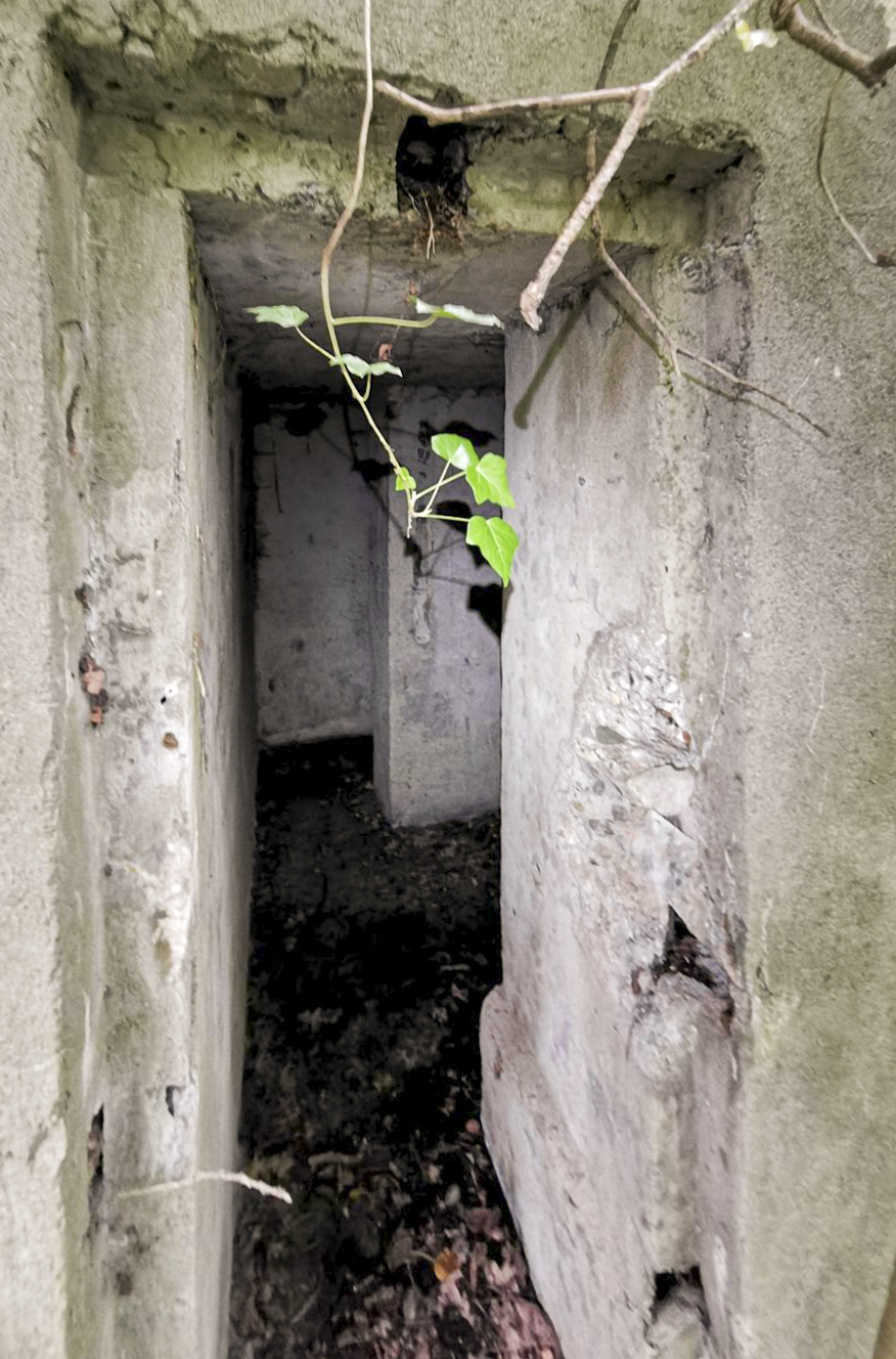Ligne Maginot - B591 - RICHARDSHAEUSER 5 - (Blockhaus pour arme infanterie) - L'entrée du blockhaus. - leiraph