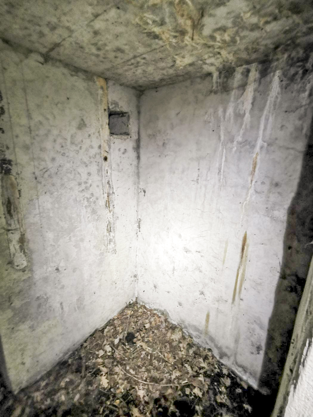 Ligne Maginot - B591 - RICHARDSHAEUSER 5 - (Blockhaus pour arme infanterie) - Après l'entrée, il y a ce petit espace avec dans le mur, des planches en bois. - leiraph
