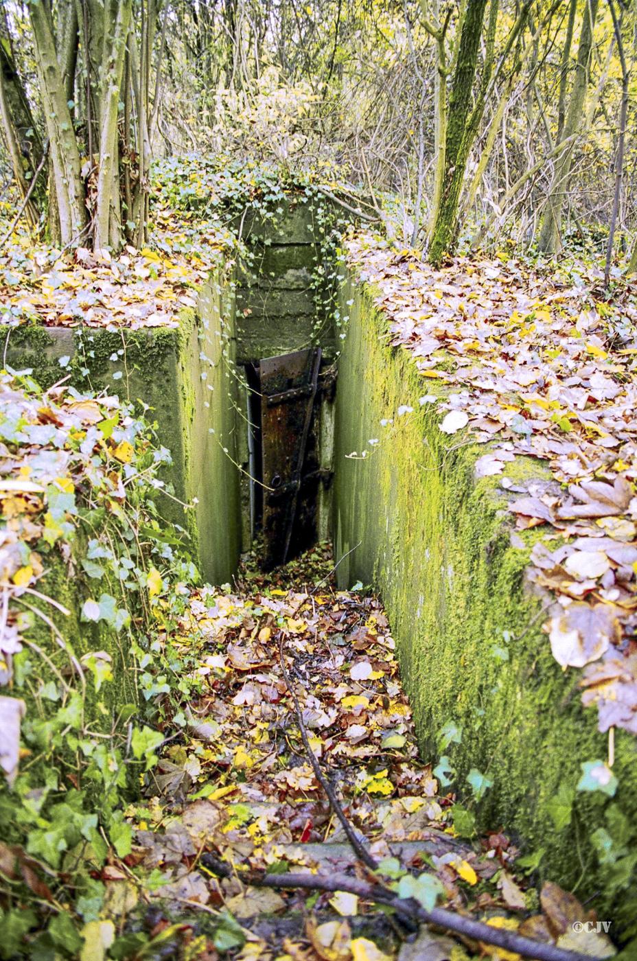Ligne Maginot - SAINTE MARIE 1 (Observatoire d'artillerie) -  - Lia VERMEULEN