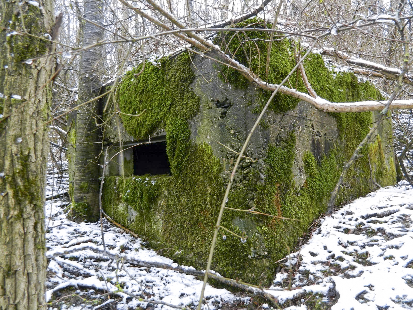 Ligne Maginot - DORFBRUNNEN SUD - (Blockhaus pour arme infanterie) -  - Jean-Marie Bach