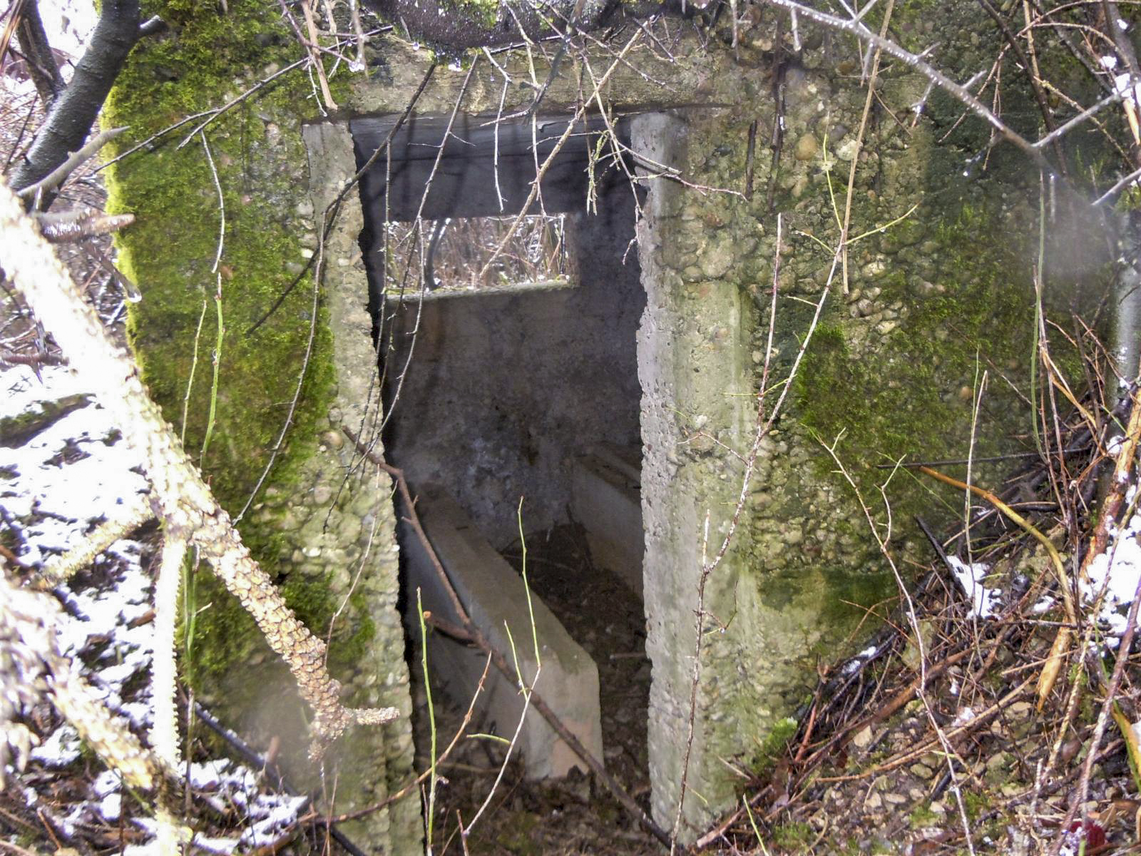 Ligne Maginot - DORFBRUNNEN SUD - (Blockhaus pour arme infanterie) -  - Jean-Marie Bach