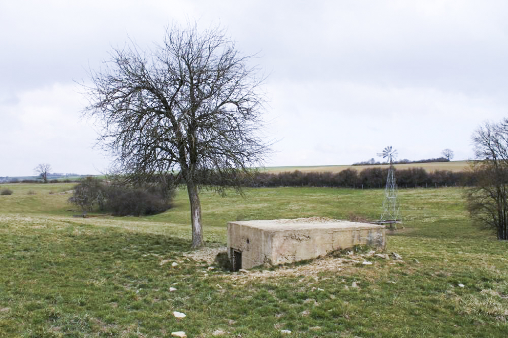 Ligne Maginot - DELLWIESE OUEST - (Blockhaus pour arme infanterie) - Vue generale - Christian LENHARD