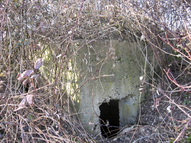 Ligne Maginot - DELLWIESE EST - (Blockhaus pour arme infanterie) - L’entrée - Christian LENHARD