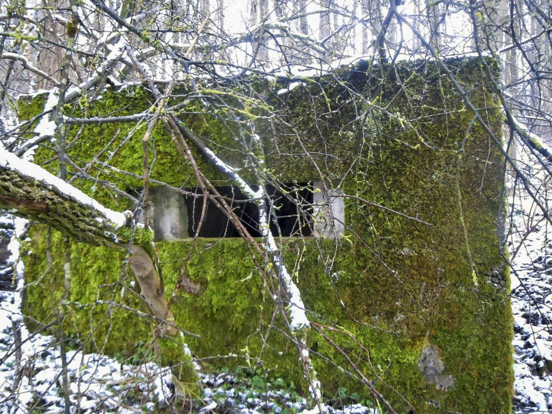Ligne Maginot - DORFBRUNNEN CENTRE - (Blockhaus pour arme infanterie) -  - Jean-Marie Bach