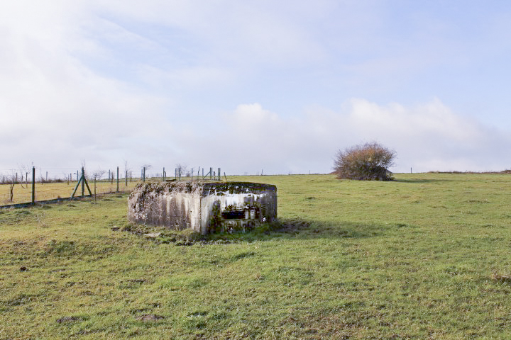 Ligne Maginot - DORFWIESE 2 - (Blockhaus pour arme infanterie) - Vue générale - Christian LENHARD