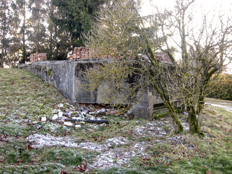 Ligne Maginot - ELSENBERG 3 - (Observatoire d'artillerie) - Vue générale - Christian LENHARD