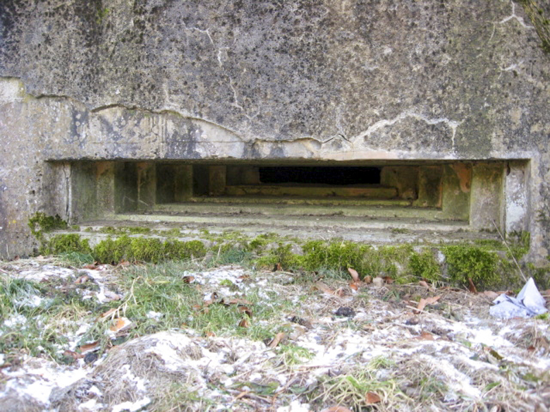 Ligne Maginot - ELSENBERG 3 - (Observatoire d'artillerie) - Créneau - Christian LENHARD