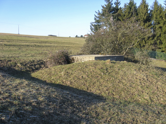 Ligne Maginot - DORFWIESE 4 (Blockhaus pour arme infanterie) - Vue générale - Christian LENHARD