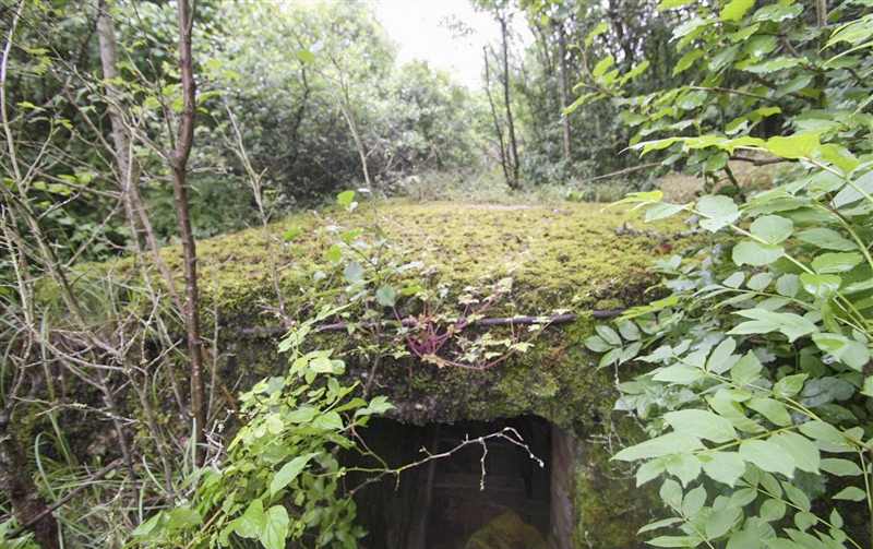 Ligne Maginot - ELSENBERG 6bis (Abri) -  - Jean PUELINCKX