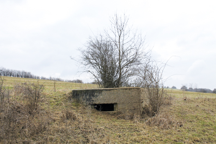 Ligne Maginot - ESCHER Ouest (Blockhaus pour arme infanterie) - Façade de tir - Christian LENHARD