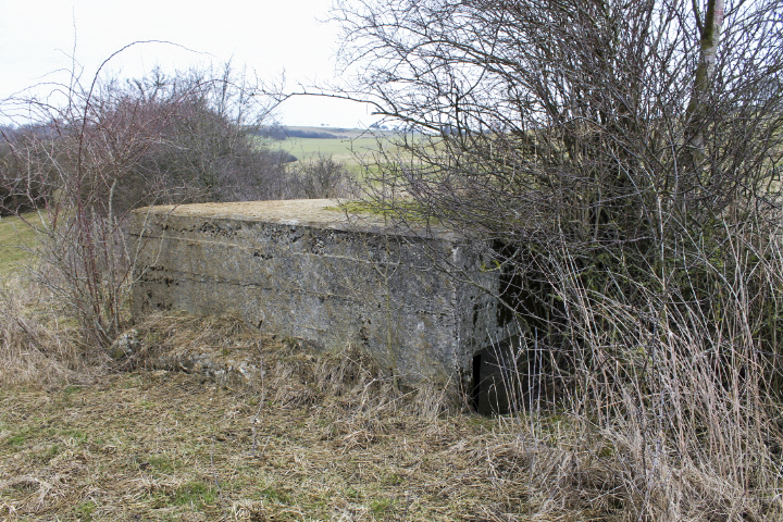 Ligne Maginot - ESCHER Ouest (Blockhaus pour arme infanterie) - Façade arrière - Christian LENHARD
