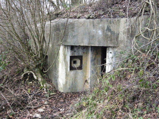 Ligne Maginot - FERME de MOHRENHOF (166° RIF) (PC de Sous-Secteur) - Batiment principal - Christian LENHARD