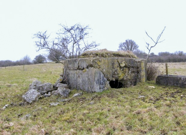 Ligne Maginot - FERME WELSCHHOF NORD - (Blockhaus pour arme infanterie) - Vue générale - Christian LENHARD