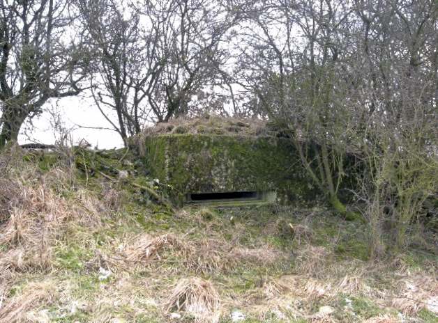 Ligne Maginot - FERME WELSCHHOF - (Observatoire d'artillerie) - Vue générale - Christian LENHARD