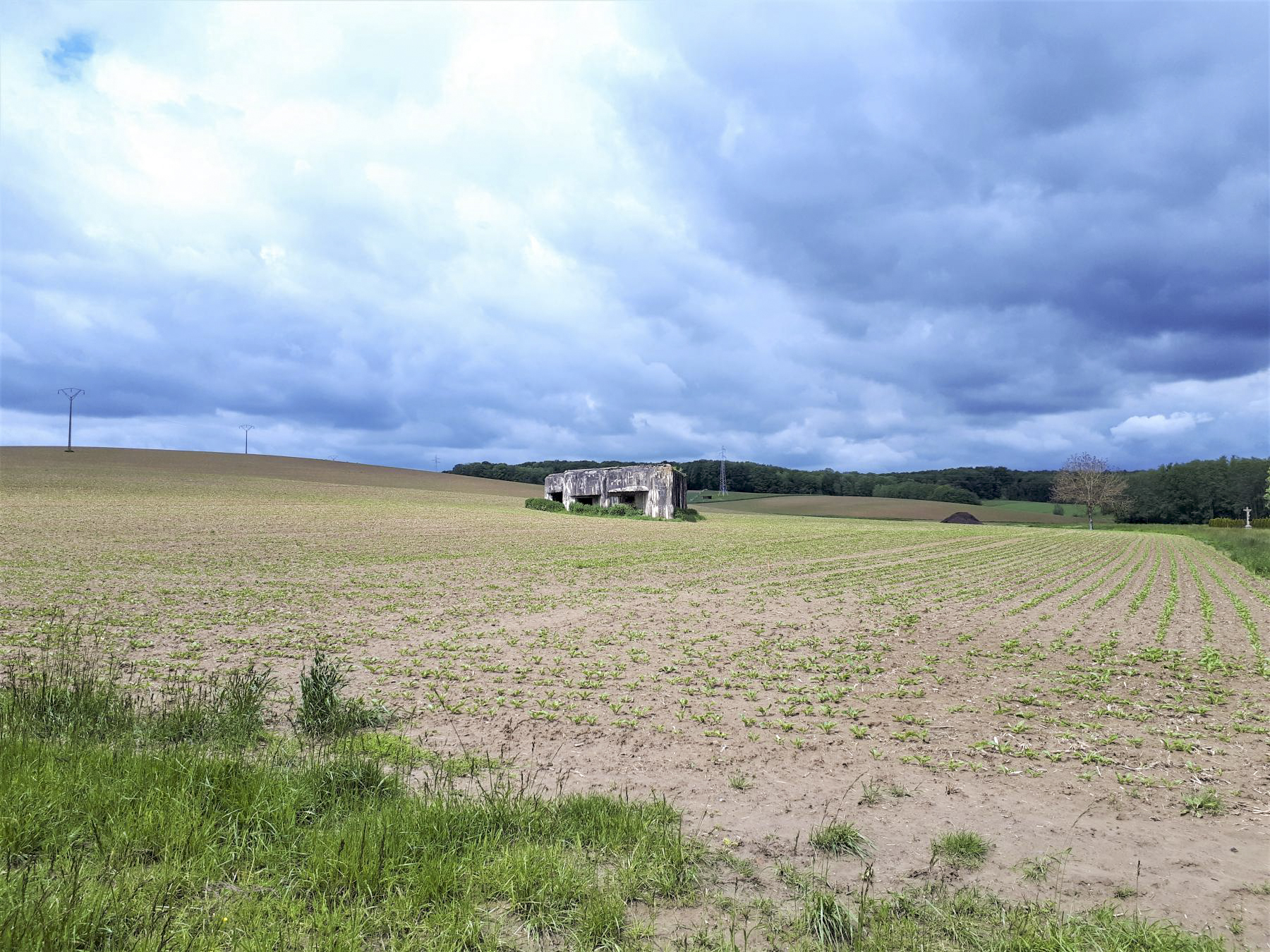 Ligne Maginot - RUTSCHENBERG - (Casemate d'infanterie) -  - Gregory Fuchs