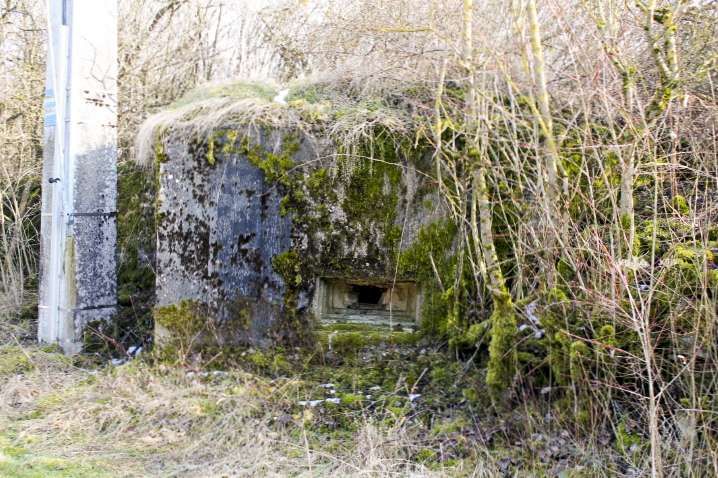 Ligne Maginot - FIRST 4 - (Blockhaus pour arme infanterie) - Vue générale - Christian LENHARD