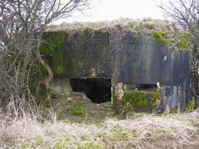 Ligne Maginot - FIRST 2 - (Blockhaus pour canon) - Façade de tir - Christian LENHARD