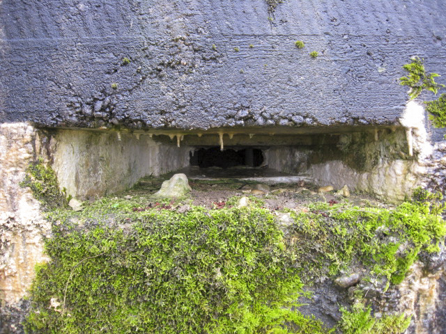 Ligne Maginot - FIRST 2 - (Blockhaus pour canon) - Créneau d'observation - Christian LENHARD