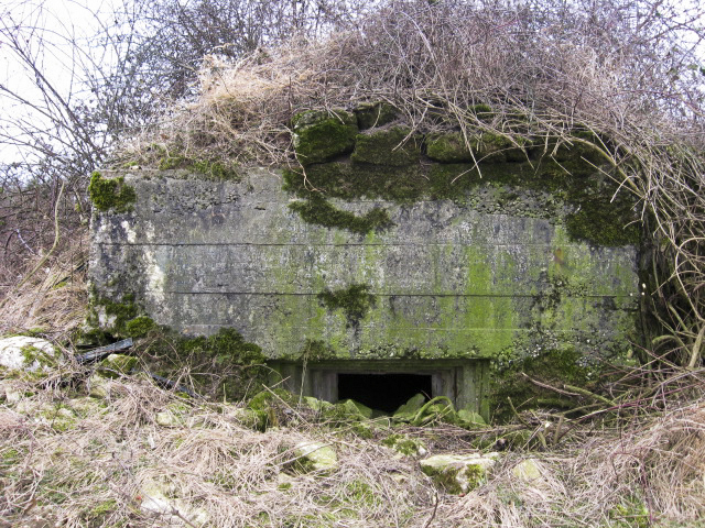 Ligne Maginot - GARTEN 1 - (Blockhaus pour arme infanterie) - Façade de tir - Christian LENHARD