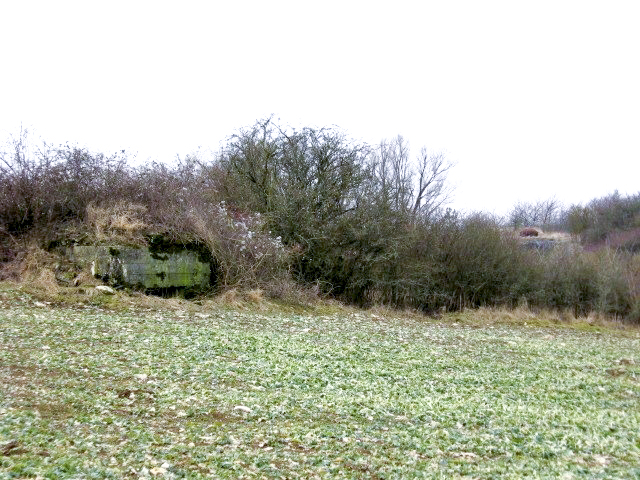 Ligne Maginot - GARTEN 1 - (Blockhaus pour arme infanterie) - A droite on apercoit la cloche GFM de la casemate de Singling ouest - Christian LENHARD