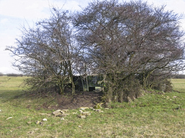 Ligne Maginot - GAIKLINGEN OUEST - (Blockhaus pour arme infanterie) - Vue générale - Christian LENHARD