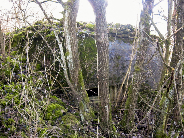 Ligne Maginot - GARTEN 2 - (Blockhaus pour arme infanterie) - Vue générale - Christian LENHARD