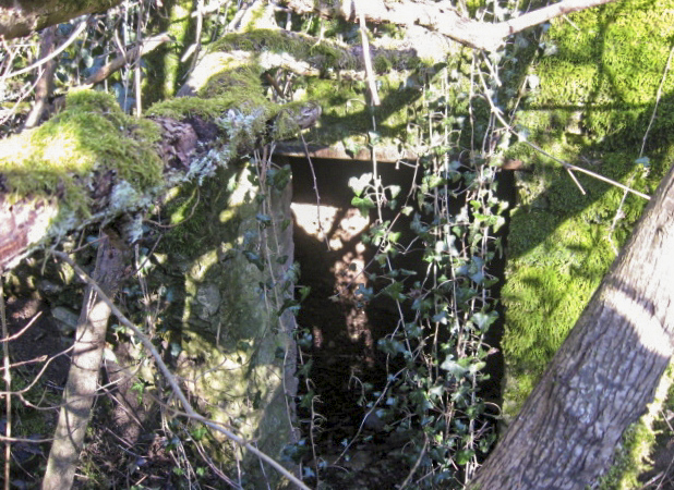 Ligne Maginot - GARTEN 2 - (Blockhaus pour arme infanterie) - L'entrée du blockhaus - Christian LENHARD