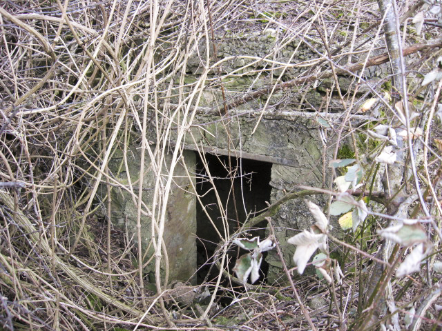 Ligne Maginot - GARTEN 5 - (Blockhaus pour arme infanterie) - L'entrée du blockhaus - Christian LENHARD