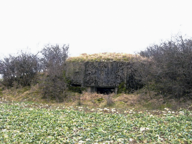 Ligne Maginot - GARTEN 4 - (Blockhaus pour canon) - Vue générale - Christian LENHARD