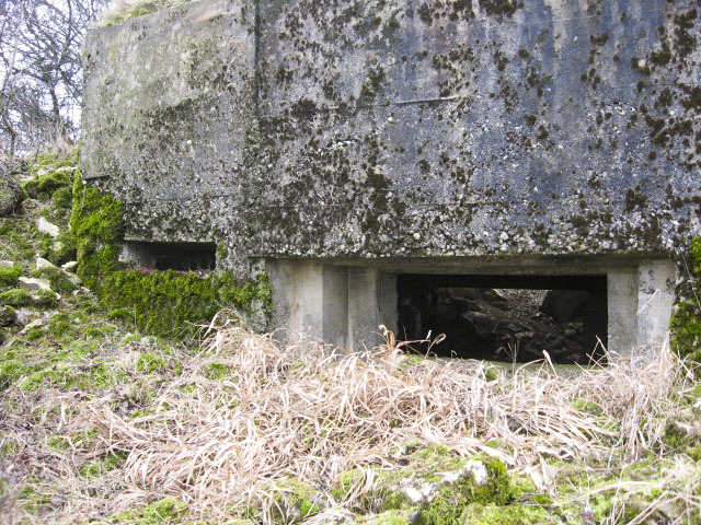 Ligne Maginot - GARTEN 4 - (Blockhaus pour canon) - Les créneaux - Christian LENHARD