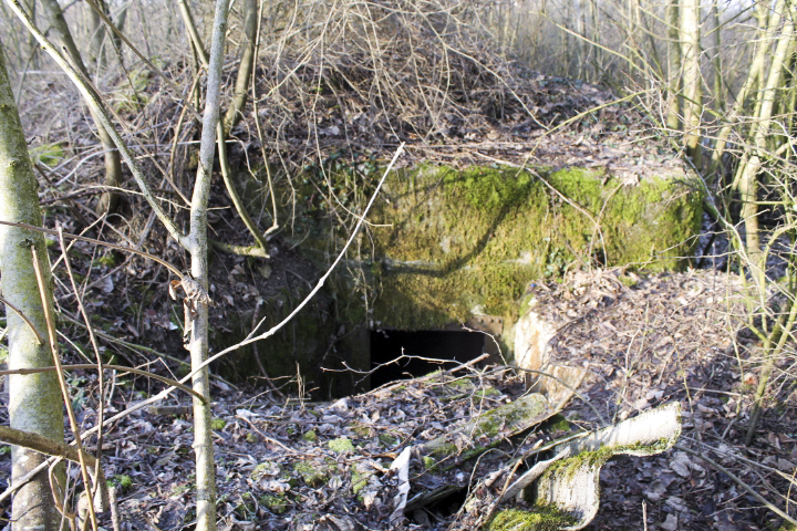 Ligne Maginot - GROS REDERCHING EST 1 - (Blockhaus pour arme infanterie) - Facade arrière et l'entrée - Christian LENHARD