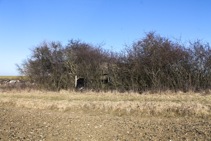Ligne Maginot - GROSSFELD - (Blockhaus pour arme infanterie) -  - Christian LENHARD