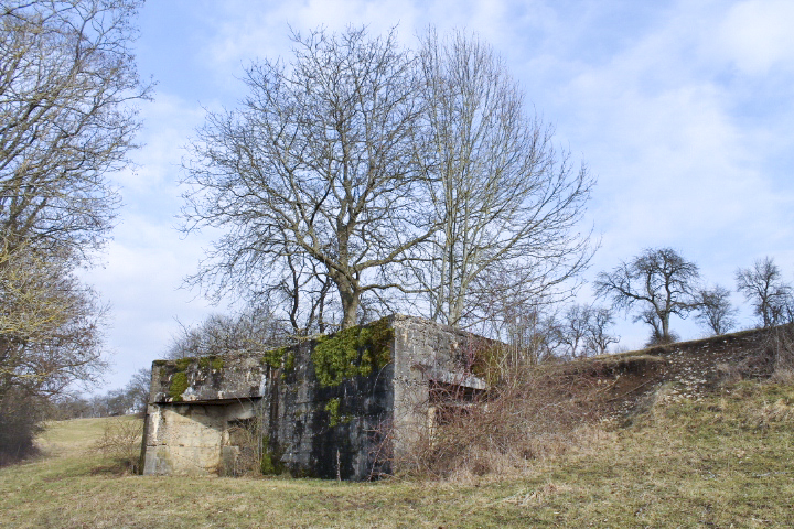 Ligne Maginot - GROS REDERCHING SUD (AVANT POSTE) - (Blockhaus pour arme infanterie) - Vue générale - Christian LENHARD