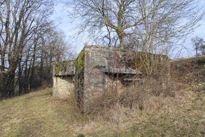 Ligne Maginot - GROS REDERCHING SUD (AVANT POSTE) - (Blockhaus pour arme infanterie) - Facade Ouest - Christian LENHARD
