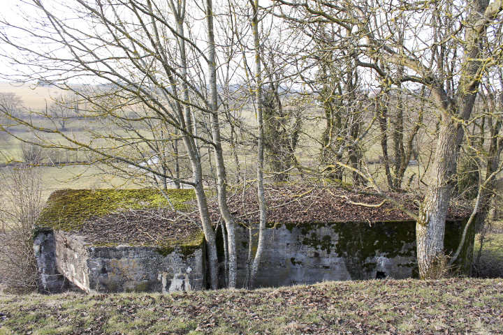 Ligne Maginot - GROS REDERCHING SUD (AVANT POSTE) - (Blockhaus pour arme infanterie) - Facade arriere - Christian LENHARD