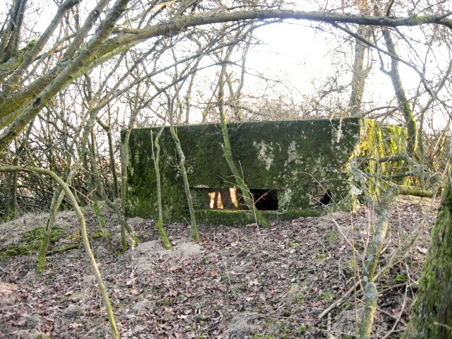 Ligne Maginot - GUCKENBERG 3 - (Blockhaus pour canon) - Façade de tir - Christian LENHARD