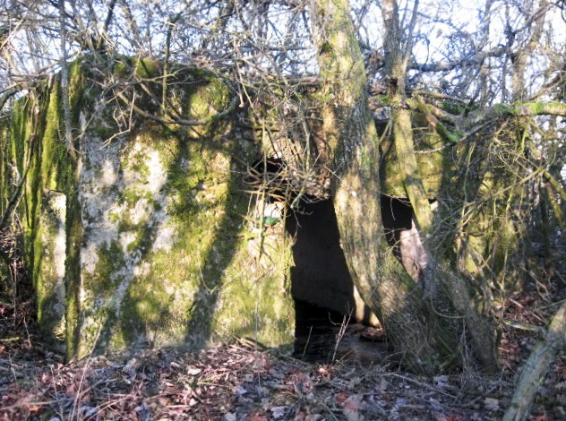 Ligne Maginot - GUCKENBERG 3 - (Blockhaus pour canon) - L'entrée du canon - Christian LENHARD