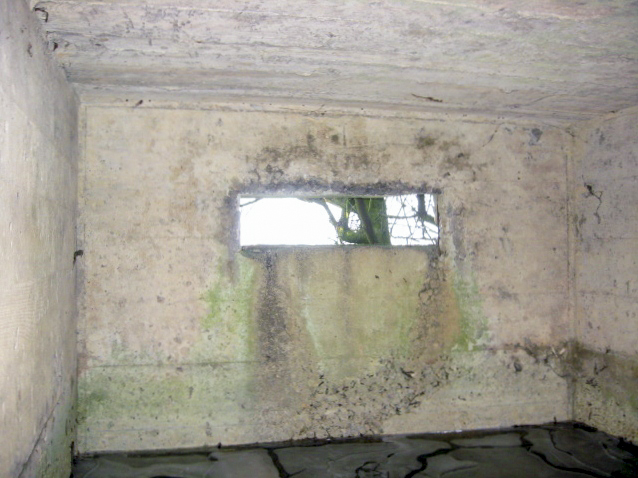 Ligne Maginot - GUCKENBERG 4 - (Blockhaus pour arme infanterie) - L'intérieur - Christian LENHARD