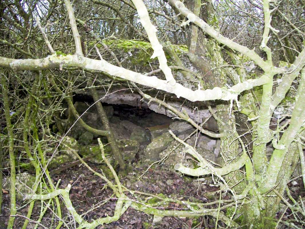 Ligne Maginot - GUISING 3 (AVANT POSTE) - (Blockhaus pour arme infanterie) -  - FREDDY57