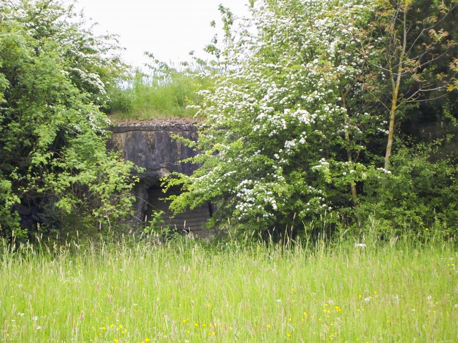 Ligne Maginot - GUISING 1 (AVANT POSTE) - (Blockhaus pour arme infanterie) -  - freddy57