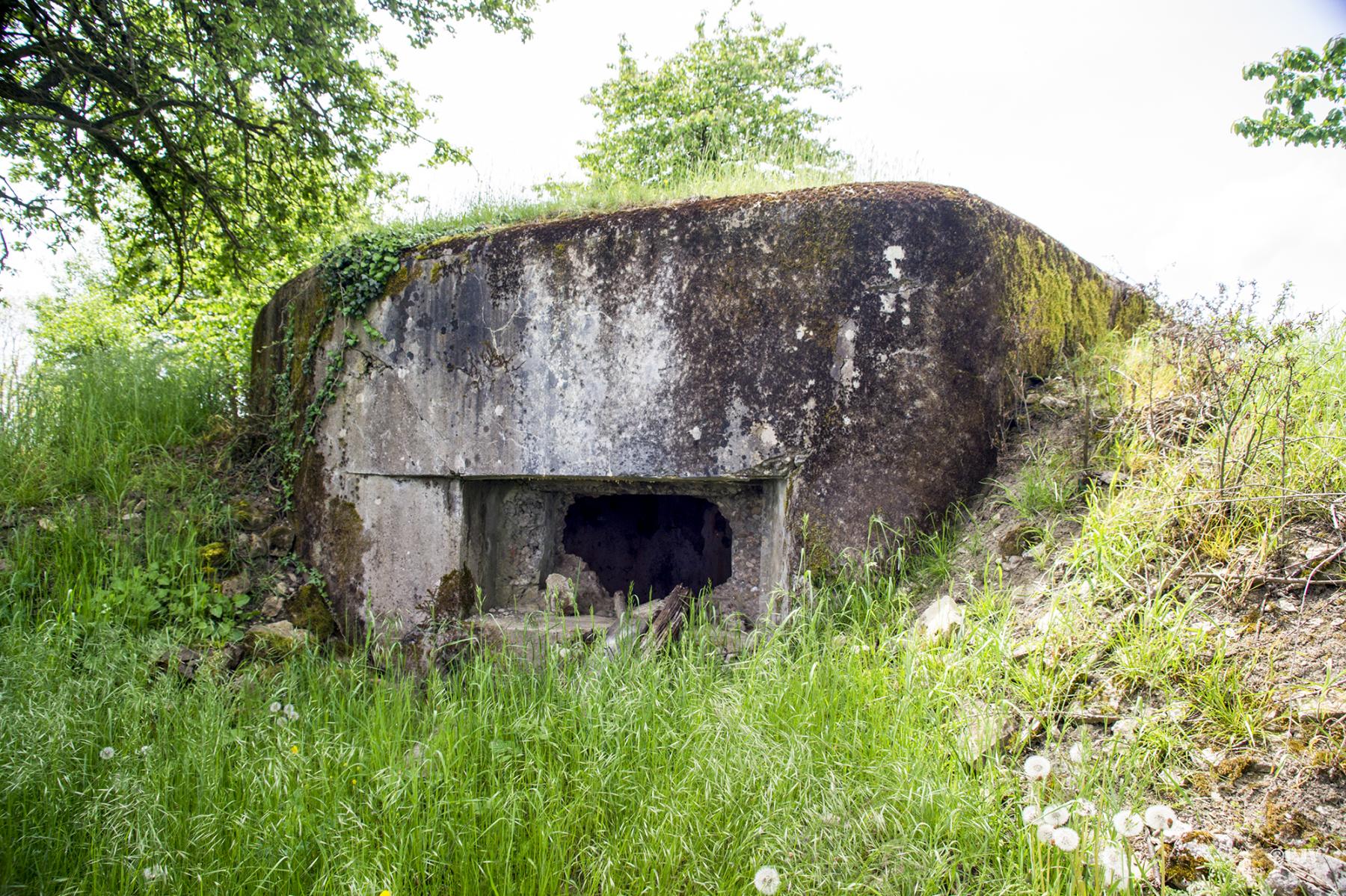 Ligne Maginot - GUISING 2 (AVANT POSTE) - (Blockhaus pour arme infanterie) -  - Lia VERMEULEN