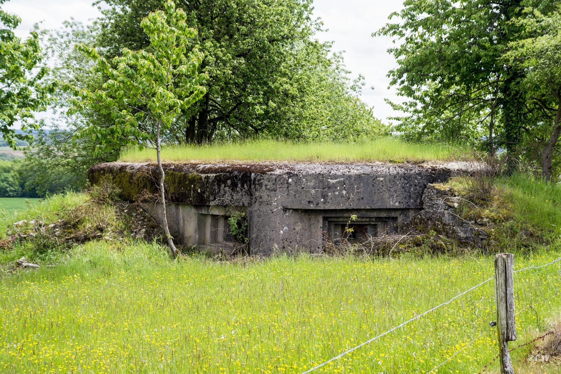 Ligne Maginot - GUISING 2 (AVANT POSTE) - (Blockhaus pour arme infanterie) -  - Lia VERMEULEN