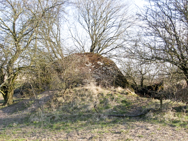 Ligne Maginot - HAMMELSWIESE 1 - (Blockhaus pour arme infanterie) - Vue générale - Christian LENHARD
