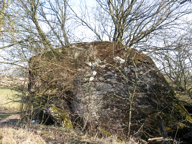 Ligne Maginot - HAMMELSWIESE 1 - (Blockhaus pour arme infanterie) - Vue générale - Christian LENHARD